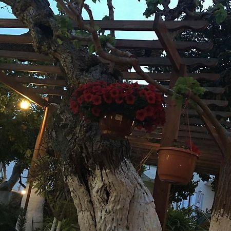 The Bunch Of Grapes Inn Pissouri Esterno foto