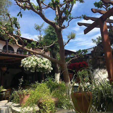 The Bunch Of Grapes Inn Pissouri Esterno foto