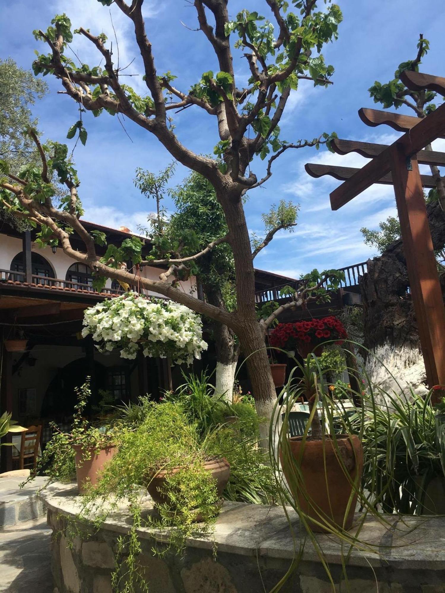 The Bunch Of Grapes Inn Pissouri Esterno foto
