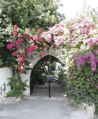 The Bunch Of Grapes Inn Pissouri Esterno foto